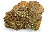 Tabular Orange Wulfenite Crystal On Matrix - Ojuela Mine, Mexico #356694-1